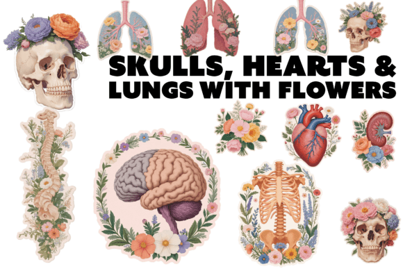 Download Floral Anatomy PNG Collection - Collection Collection