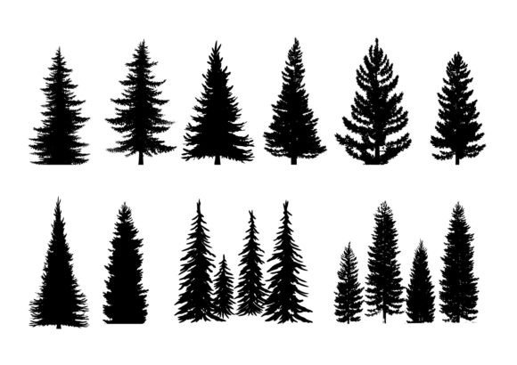 Download Set of 10 Pine Trees Silhouettes - Trees Collection